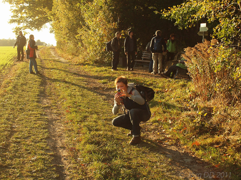 Herbst _ Bild 004 _  15. Oktober 2011   17:11:09