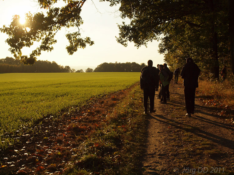 Herbst _ Bild 005 _  15. Oktober 2011   17:16:08