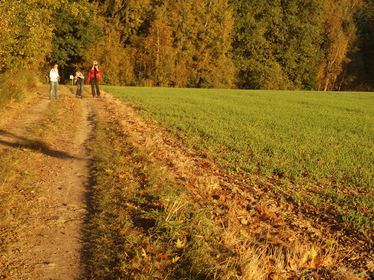 Herbst _ Bild 006 _  15. Oktober 2011   17:18:39