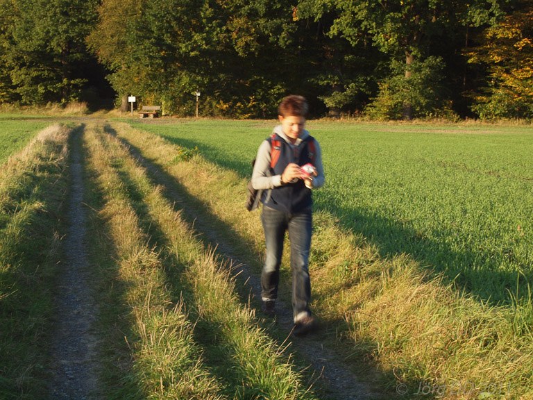 Herbst _ Bild 008 _  15. Oktober 2011   17:25:24