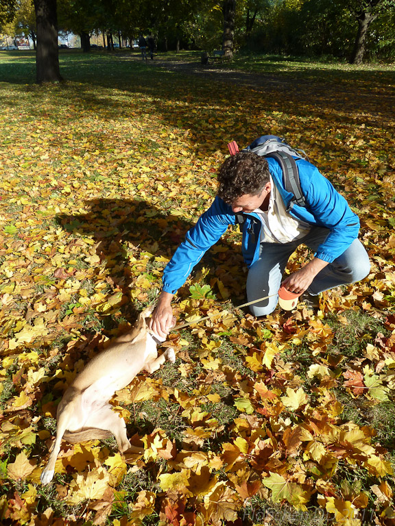 Herbst _ Bild 003 _  29. Oktober 2011   14:22:38