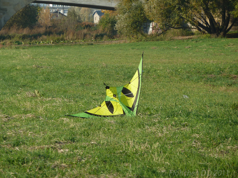 Herbst _ Bild 008 _  29. Oktober 2011   15:49:13