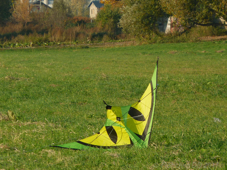 Herbst _ Bild 007 _  29. Oktober 2011   15:49:13