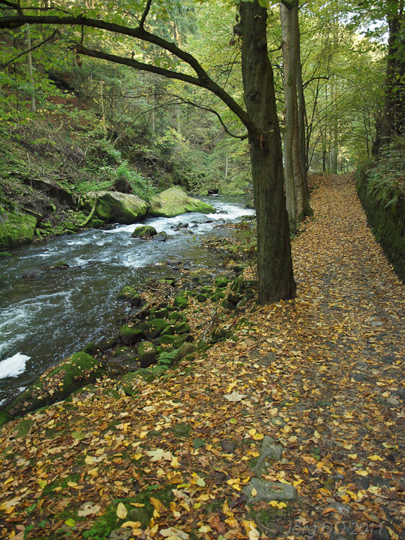 Herbst _ Bild 002 _  15. Oktober 2011   10:26:17