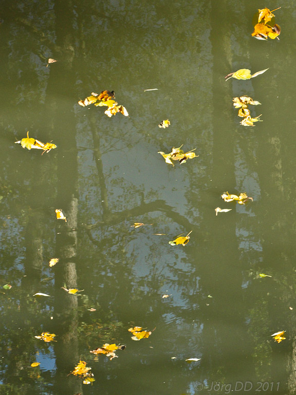 Herbst _ Bild 005 _  15. Oktober 2011   12:13:07