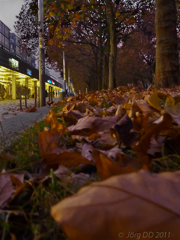 Herbst _ Bild 014 _  09. November 2011   17:44:06