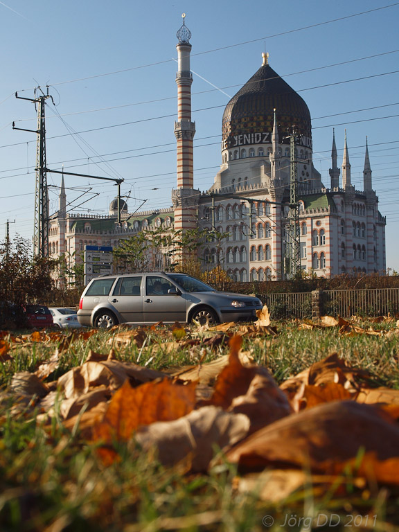Herbst _ Bild 015 _  13. November 2011   13:44:48
