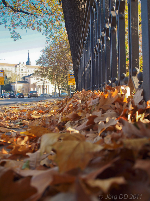 Herbst _ Bild 016 _  13. November 2011   14:01:17