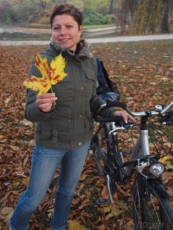 Herbst _ Bild 017 _  13. November 2011   17:06:34