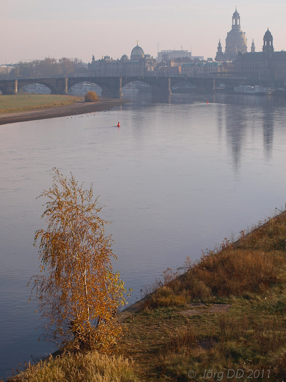 Herbst _ Bild 018 _  14. November 2011   14:17:56