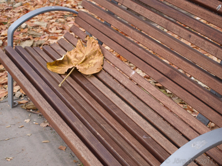 Herbst _ Bild 023 _  15. November 2011   16:30:43