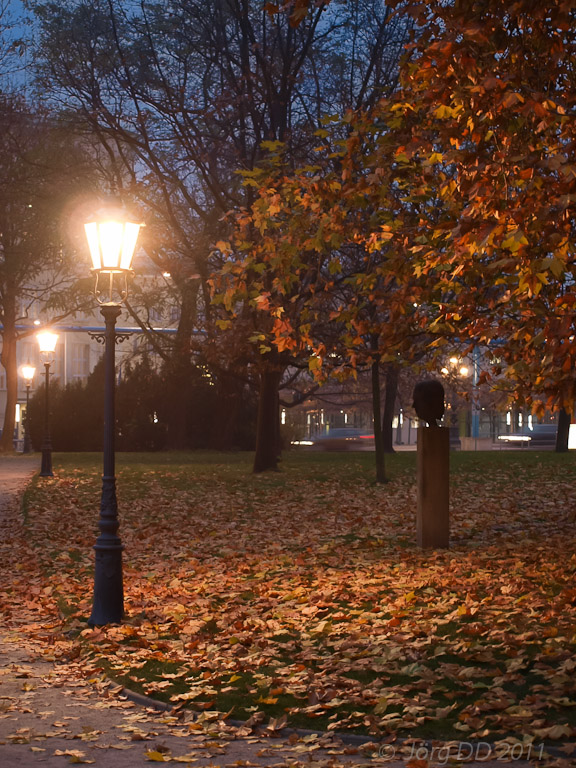 Herbst _ Bild 024 _  15. November 2011   17:26:44