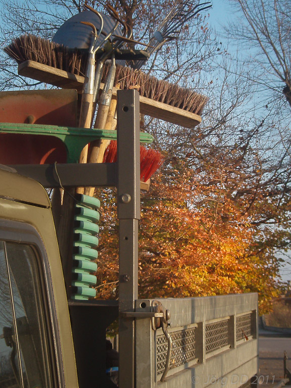 Herbst _ Bild 030 _  23. November 2011   14:56:26