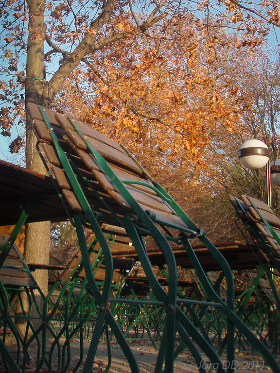 Herbst _ Bild 031 _  23. November 2011   15:02:58