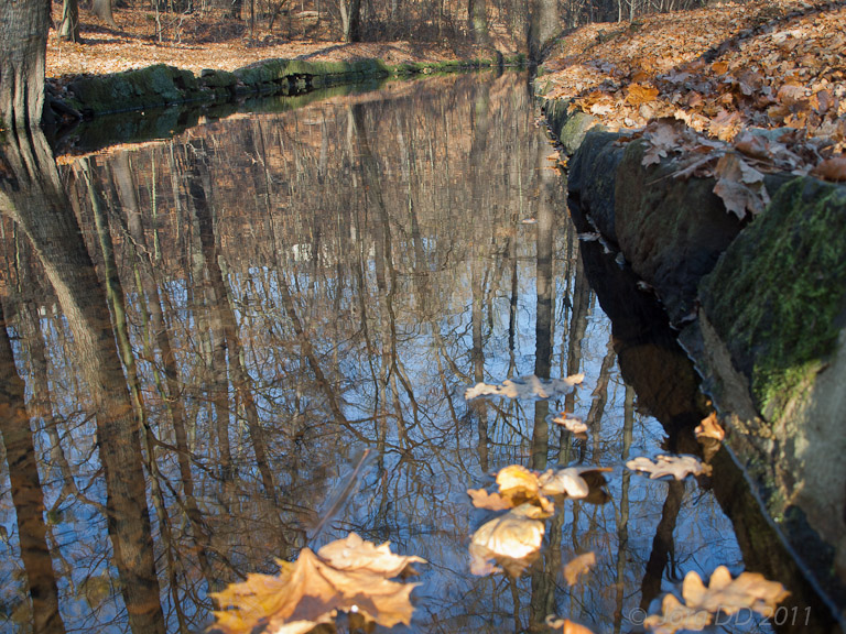 Herbst _ Bild 036 _  29. November 2011   12:41:02
